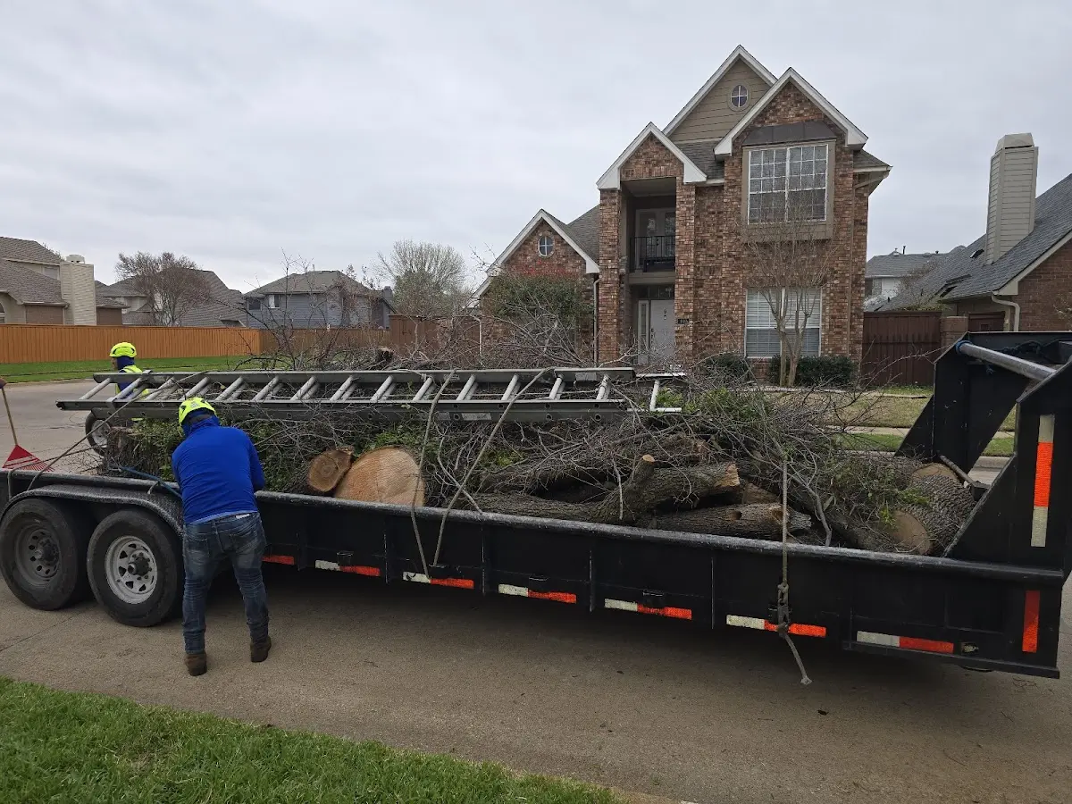 Expert Tree Removal with proper safety equipment in Rushville
